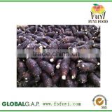 FRESH TARO GOOD QUALITY COMPETITIVE PRICE FROM CHINA
