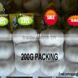 2015 China Garlic Price thumbnail-1