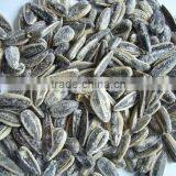 Roasted Salted 5009 Sunflower Seeds With Best Price