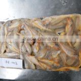 ship frozen small yellow croaker for sale