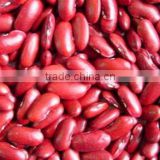 High quality Organic Kidney Beans/ Rajma