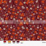 Axminster Broadloom Carpet