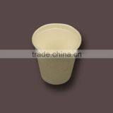 Compostable Biodegradable Sugarcane Cup