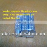 Speaker magnet/portable magnetic speakers/permanent magnet