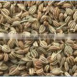 Ajwain seeds ( carom seeds) from India