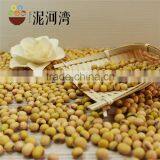2016 Crop NON-GMO Yellow Soybean / Soy Bean for Oil/tofu/animal Feeds Organic thumbnail-3