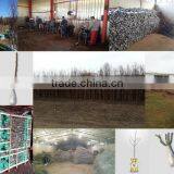Econom Cop Doo Subotica company overview - view 3 thumbnail