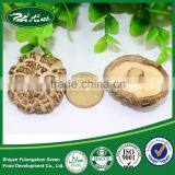 Wholesale Chinese Dried Fulvous Tea Flower Mushrooms (4-5cm)