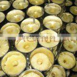 Best Vietnamese Canned Pineapple in Syrup by HAGIMEX - Visit Our Website Www.hagimex.com thumbnail-2