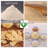 Iso HACCP A grade Dehydrated Garlic Granulated Powder 80-100 Mesh