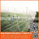 Best Selling 20/30/40/50 Mesh Hdpe Plastic Agriculture Greenhouse Vegetable and Fruit Anti-insect Net , Nylon Insect Net thumbnail-6