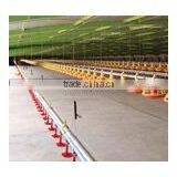 Auger Feeding and Nipple Drinking Equipment for Ground Chicken thumbnail-3