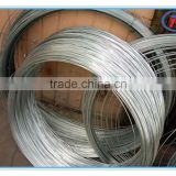 china supply hot selling low price widely used electro galvanized iron wire