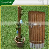 Coconut Flower Plant Stake thumbnail-1