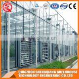 China Direct Multifunction Multi Span Venlo Glass Greenhouse thumbnail-4