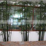 J080304 Hot Sale Artificial Bamboo Plant High Imitation Lucky Bamboo for Decoration thumbnail-5