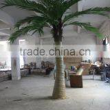 2016 Hot Sale Artificial Palm Tree Wholesale Outdoor Date Palm Trees Canary Palm Trees thumbnail-6