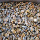 Sea Food Frozen Cooked Best Mussels thumbnail-1