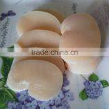 Frozen Seafood Sea Scallop New Prodcued for Sale thumbnail-3