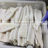 Frozen Squid Tube U5 U7 U10 thumbnail-6