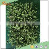 2016 International Certified Professional Leisure Venues Fire Resistant Artificial Grass Wall thumbnail-3