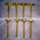 Gold Intake Exhaust Engine Valve thumbnail-7