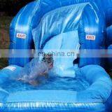 Large Inflatable Water Slides for Adult / Large Inflatable Water Slides / Large Inflatable Slides for Sale thumbnail-2
