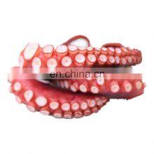 Good Quality Frozen Blanched Squid Tentacle Skin on