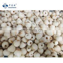 IQF Organic Lychee Fruit Frozen Pitted Lychee Meat Peeled Litchi thumbnail-3