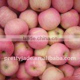 Red Fuji Apple From China thumbnail-1