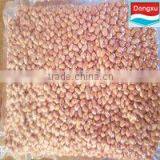 Vaccum Bags Peanut Kernels