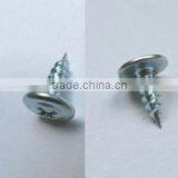 China Cheap Truss Head Self Tapping Screw thumbnail-3