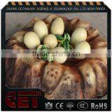 Amusement Park Products Fiberglass Dinosaur Eggs