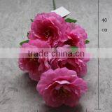 Home Decoration 5 Heads Silk Peony Flowers Wholesale thumbnail-4