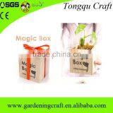 Import China Products Bonsai Tree Magic Growing Message Beans thumbnail-5