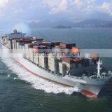 Reliable Sea Freight Shanghai to Istanbul thumbnail-1