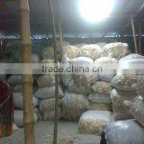 Cotton Sizing Yarn DALL0000010 thumbnail-1