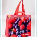 Fashion Shopping Bag on Sale,nice Bag ,pp Woven Bag thumbnail-4