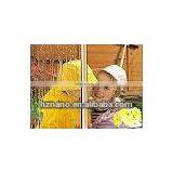 Super Hydrophilic Self Cleaning Paint thumbnail-1