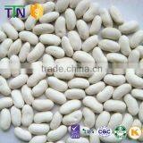 TTN Wholesale Haricot Bean and White Kidney Beans Price thumbnail-1