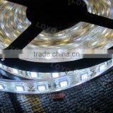 Flexible 5050 Black LED Light Strip