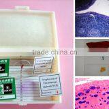 Biological Kids Prepared Microscope Slides From Factory