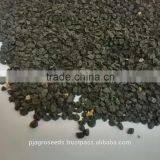 Hybrid Onion Seeds thumbnail-2