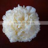 Dried White Fungus/tremella/white Fungus/silver Ear thumbnail-1