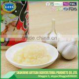 IQF Mashed Garlic Puree With Good Quality & Cheapest Price thumbnail-4
