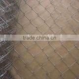 electric galvanized diamond wire mesh/fence/fencing/netting