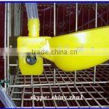 Quail/pigeon Drinkers/bowl/waterer for Sale thumbnail-4