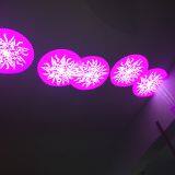 Led 5r 200w Moving Head Lighting Mobile Stages Equipment for Sale thumbnail-5