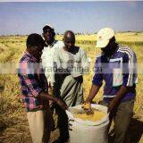 AU2.0I-C Plus Paddy Mini Combine Harvester thumbnail-4