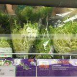 Automatic Pillow Water Convolvulus Vegetable Packing Machine thumbnail-6